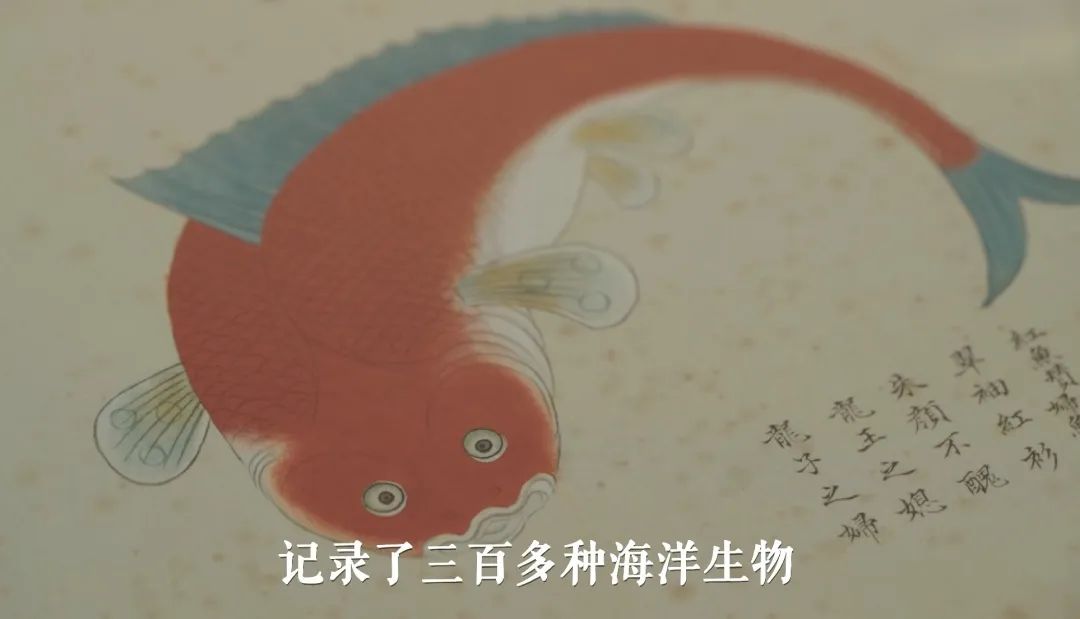 640?wx_fmt=jpeg ͼƬ