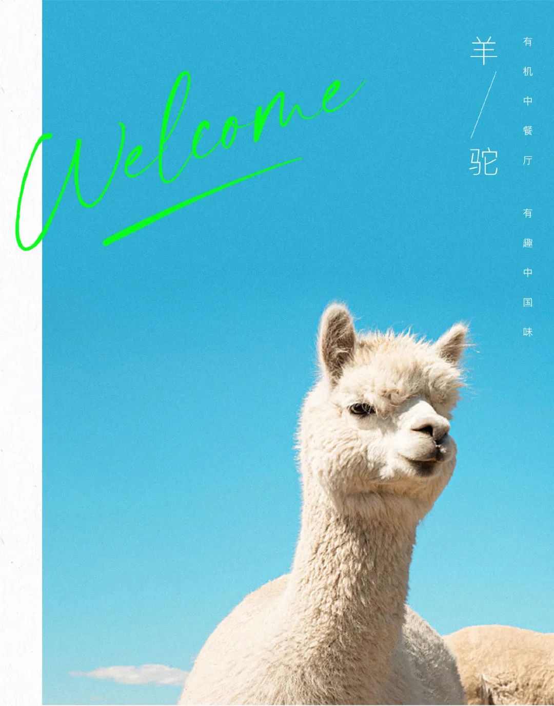 640?wx_fmt=jpeg ͼƬ