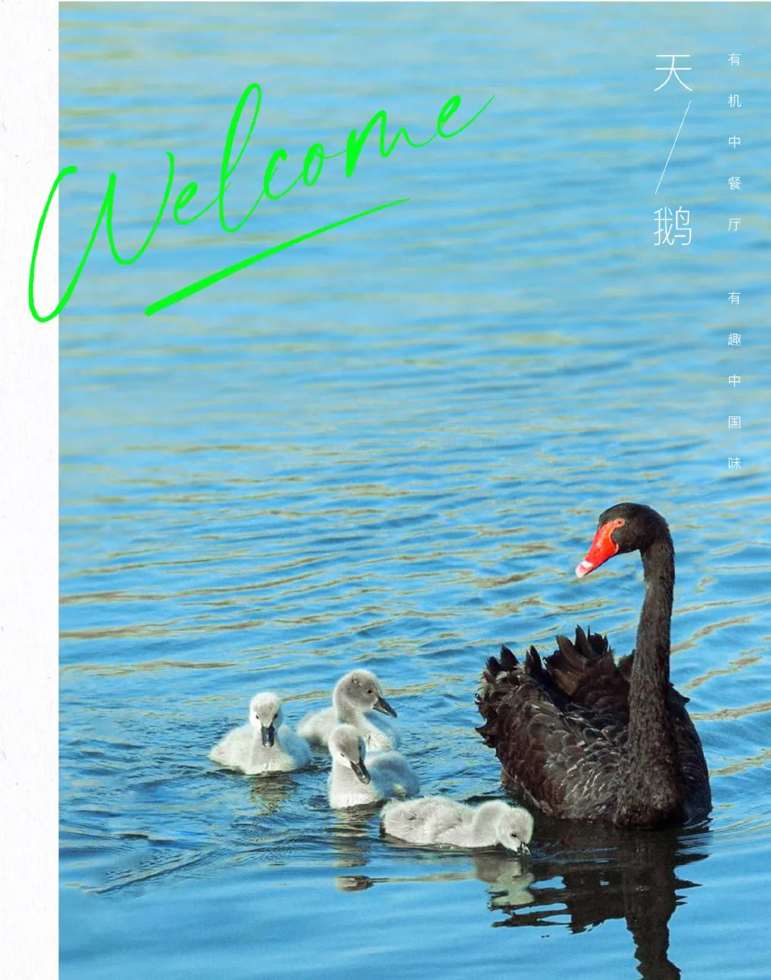 640?wx_fmt=jpeg ͼƬ