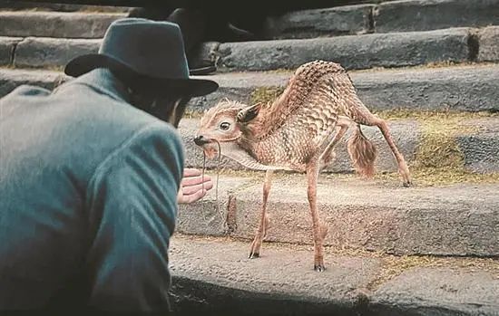 640?wx_fmt=jpeg ͼƬ