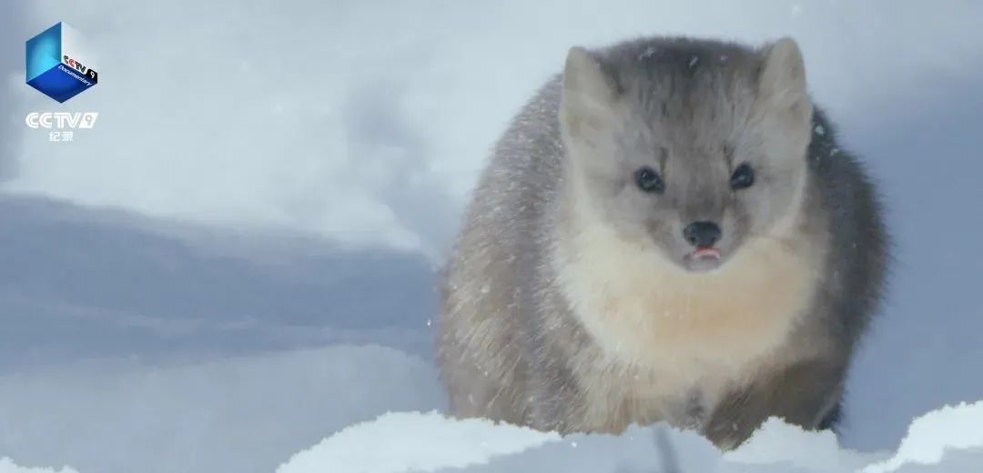 640?wx_fmt=jpeg ͼƬ