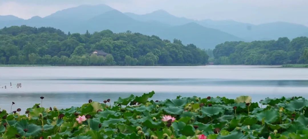 640?wx_fmt=png&from=appmsg ͼƬ