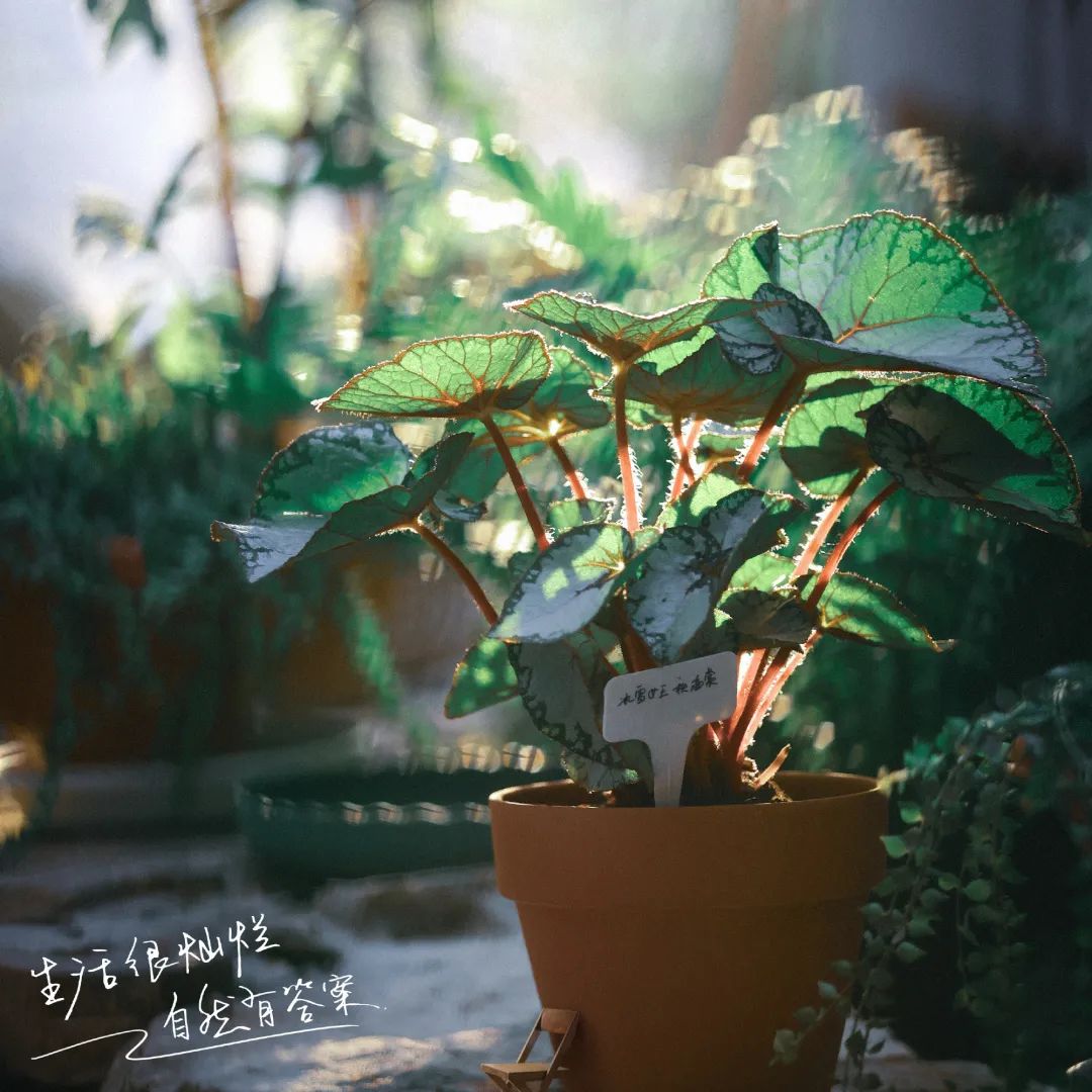 640?wx_fmt=jpeg&from=appmsg ͼƬ