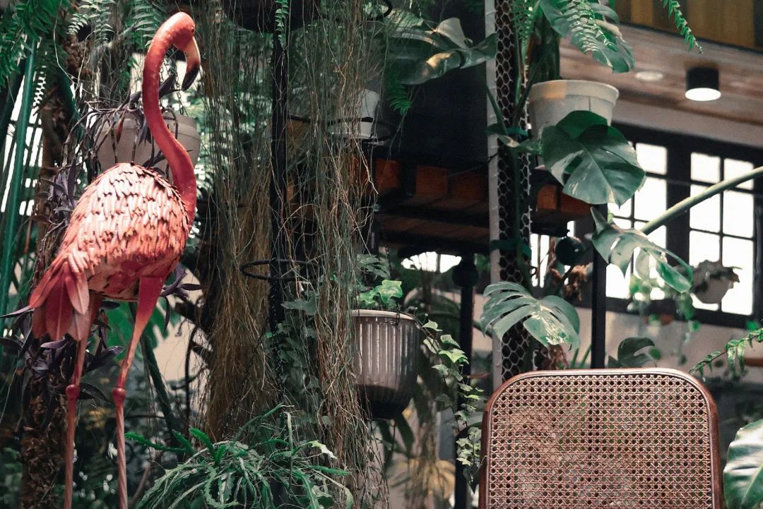 640?wx_fmt=jpeg&from=appmsg ͼƬ