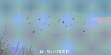 640?wx_fmt=gif&from=appmsg ͼƬ