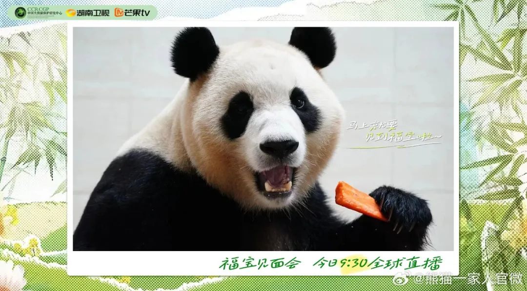 640?wx_fmt=jpeg ͼƬ