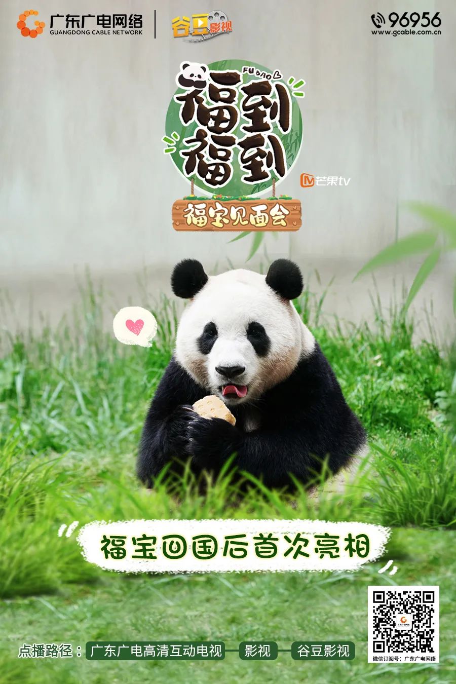 640?wx_fmt=jpeg ͼƬ