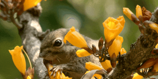 640?wx_fmt=gif&from=appmsg ͼƬ