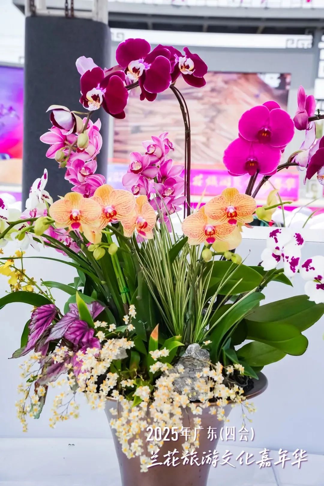 640?wx_fmt=jpeg&from=appmsg ͼƬ