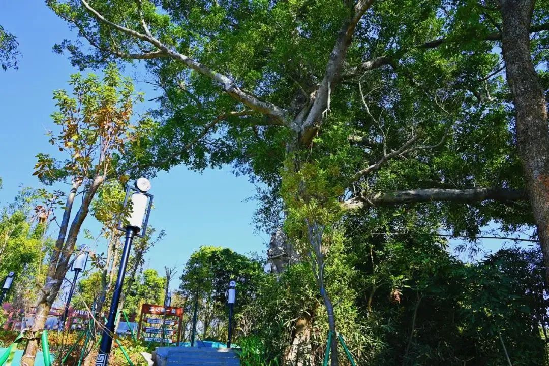 640?wx_fmt=jpeg&from=appmsg ͼƬ