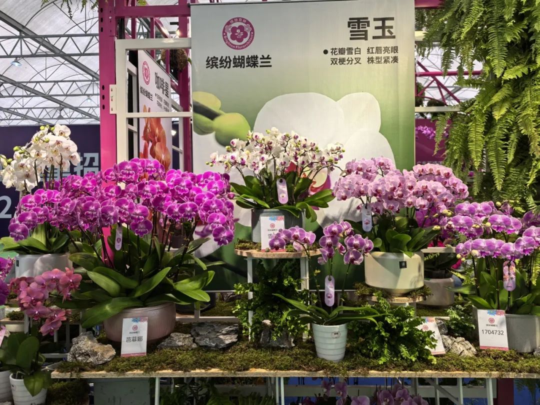 640?wx_fmt=jpeg ͼƬ